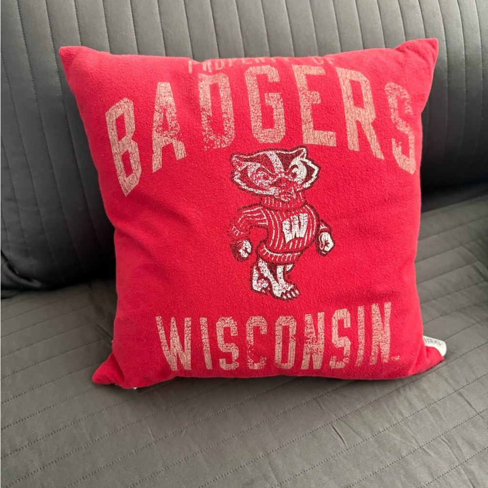 University of Wisconsin pillow